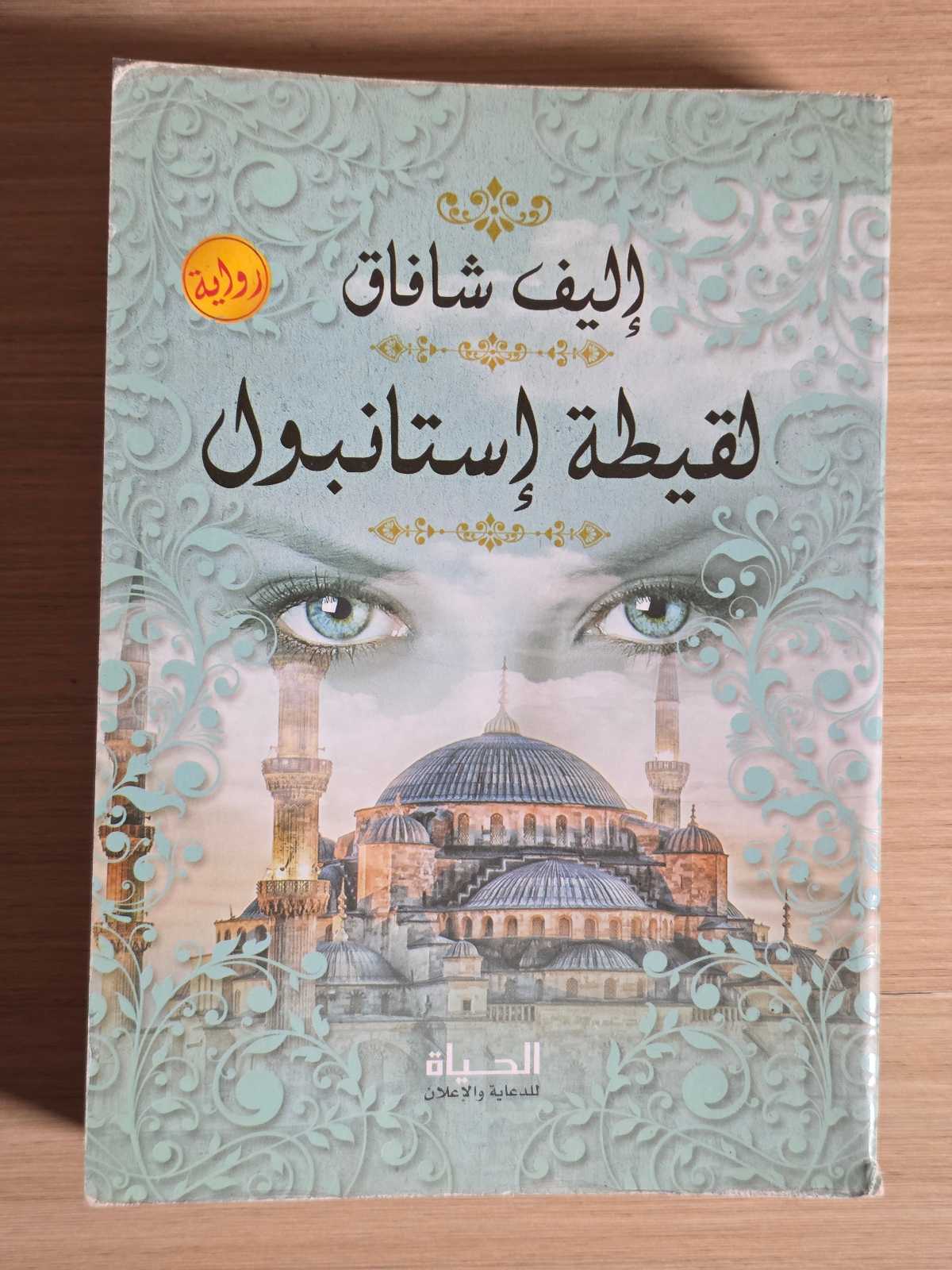 لقيطة إستانبول